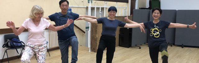 [Kingston] Beginners' Tai Chi with Silverfit