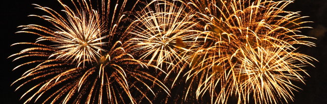 Twyford Round Table bonfire & fireworks extravaganza
