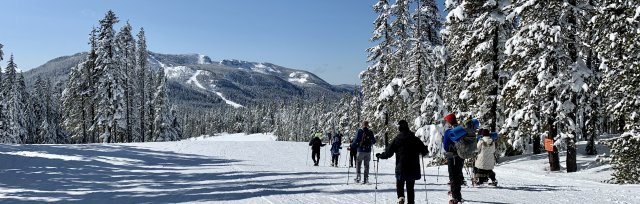 Snowshoe: Mt Hood National Forest