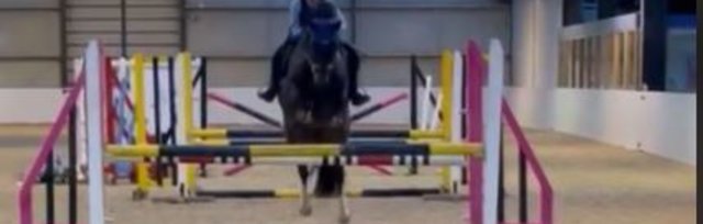 Flatwork and Show Jumping Clinic with Rob Lovatt FBHS