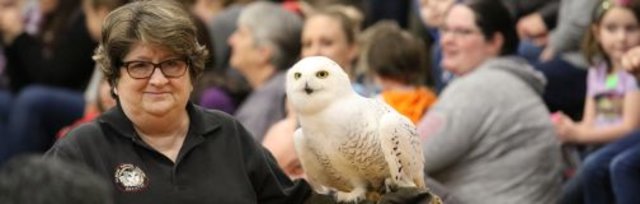 2024 International Festival of Owls