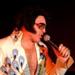 The Ultimate Elvis Tribute - Starring Mike Albert and the Big "E" Band image