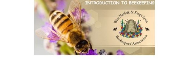 Introduction to Beekeeping Course 2024