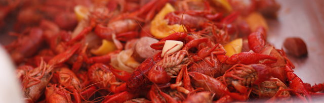 2023 Crawfish Cookin' For A Cause