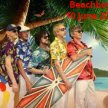 Beach Boyz image