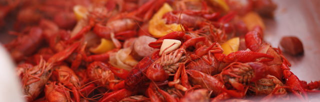 2019 Crawfish Cookin' For A Cause