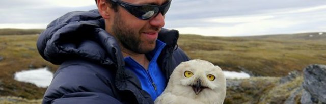 The Irruptive Nature of Owls with Dr. JF Therrien