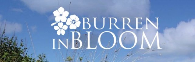 Burren in Bloom  TICKETS 2023