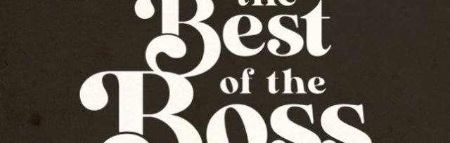 The Best of the Boss - The Jeff deValk Band Plays Springsteen