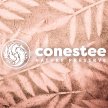 Conestee Crafting - Solar Art image