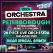 Ibiza Orchestra Experience - Peterborough 2024 image