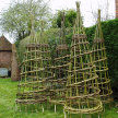 Plant Support / Alternative Christmas Tree Willow Workshop image