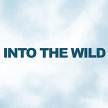 Into The Wild @ Creative Hub image