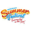 Hinckley Summer Festival image