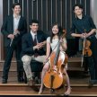 ​Marin Music Chest's Young Artists Concert 2024 ~ Chamber Music Marin image