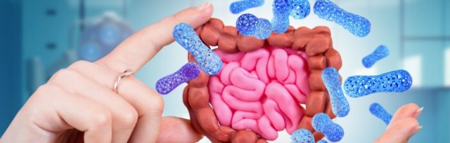 GUT MICROBIOME AND HOW IT RELATES TO IBS/IBD