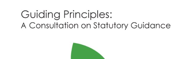 Consultation event - guiding principles on the environment (3)