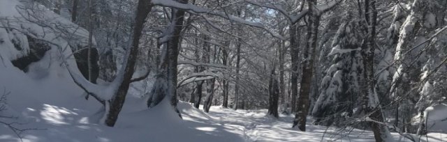 Introduction to Winter Hiking (In-Person)