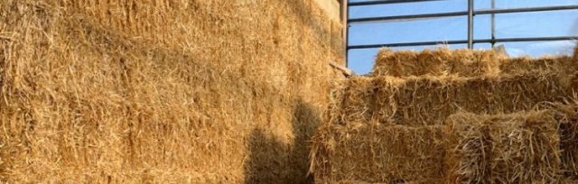 Practical Course: Straw Bale Building with Barbara Jones
