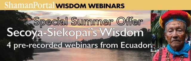 ShamanPortal Wisdom Webinar Summer Special - The Wisdom of the Siekopai