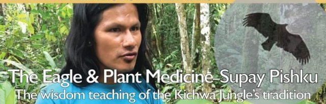 The Eagle & Plant Medicine with Supay Pishku - The wisdom teaching of the Kichwa Jungle’s Amazonian tradition