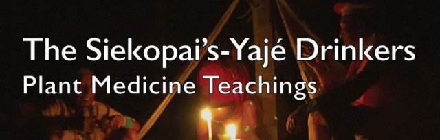 The Siekopai - Yajé Drinkers - Plant Medicine Teachings