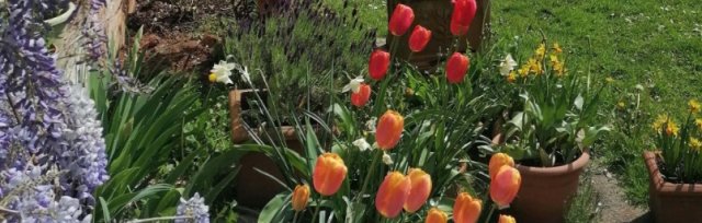 Improv and Nature Retreat: Spring Equinox (Ostara) 2024