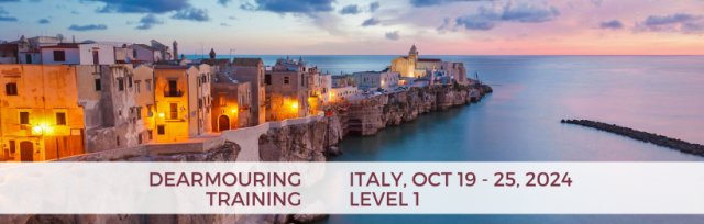 Dearmouring Training ITALY - Level 1 - Oct 2024