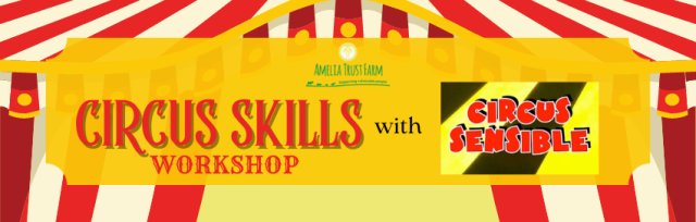 Circus Skills Workshop with Circus Sensible