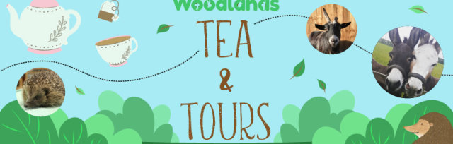 Tea & Tours