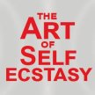 The Art of Self-Ecstasy - Training image