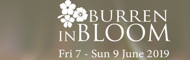 Burren in Bloom 2019