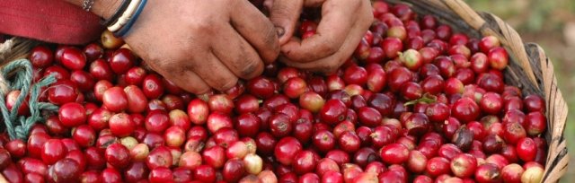 Nicaragua: Fairtrade, Hurricanes and Climate Justice