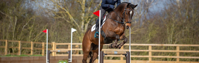 Coaching Arena Eventing with Rachel Wright