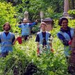 All-ability Volunteering with the Friends of Tower Hamlets Cemetery Park image