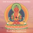 Buddha Amitayus Empowerment image