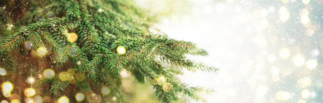 Friends of Belham Christmas Trees 2023