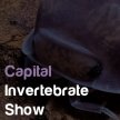 Capital Invertebrate Show image