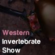 Western Invertebrate Show image