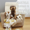 July  -  Tuesday Online Evening Meditation Series - Practical Solutions for Everyday Problems image