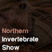 Northern Invertebrate Show image
