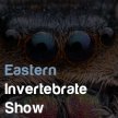 Eastern Invertebrate Show image