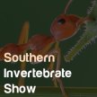 Southern Invertebrate Show image