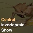 Central Invertebrate Show image