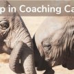 Drop in Coaching Calls image