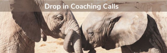 Drop in Coaching Calls