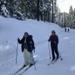 Cross Country Ski: Mt Hood National Forest image