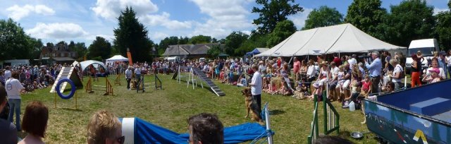 Hurst Show and Country Fayre 2023