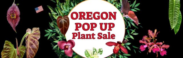 Ecuagenera Pop-Up Plant Sale
