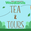 Tea & Tours image